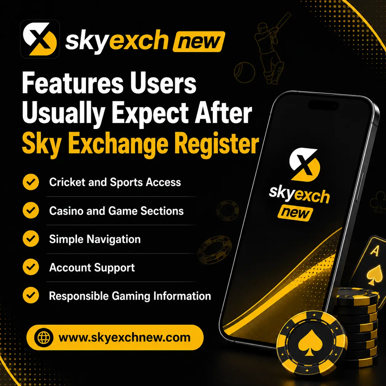 Features Users Usually Expect After Sky Exchange Register