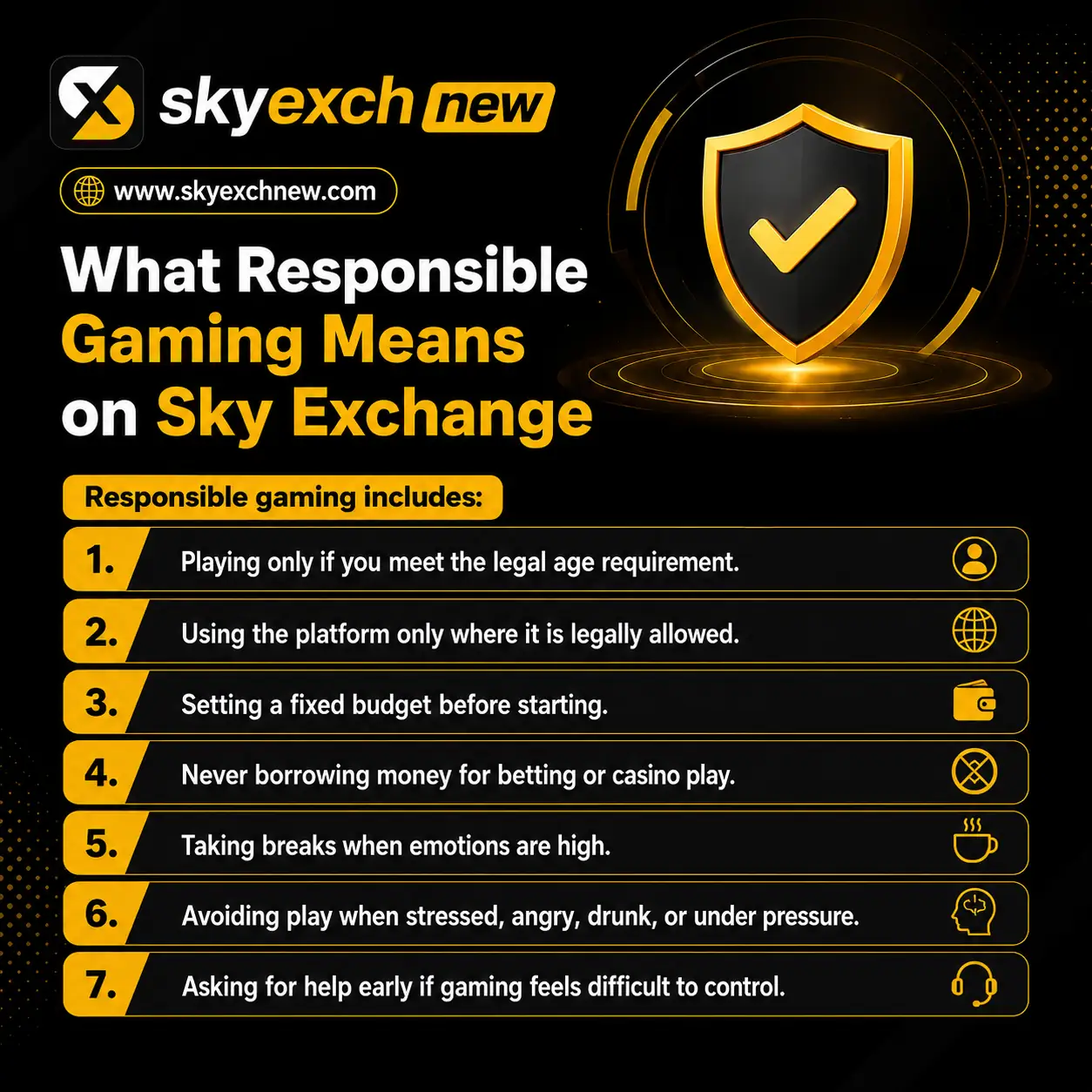 What Responsible Gaming Means on Sky Exchange