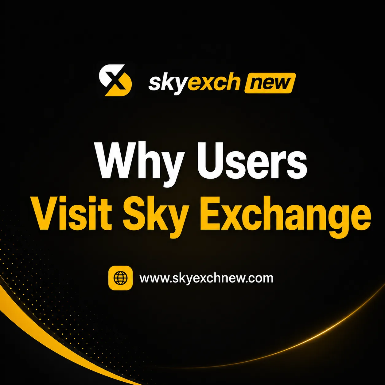Why Users Visit Sky Exchange